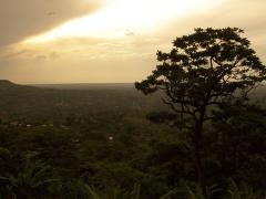 Uganda heads for the Cannes Film Festival.