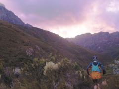 Western Cape's trail running showcased through innovative video.