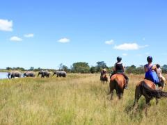 Some of the best wildlife can be seen from horseback.