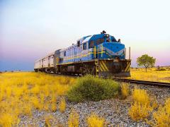 The popular train for tourists will be running again by the end of the month.