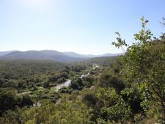 The Lubombo Biosphere Reserve's ecosystems include forest, wetland and savannah.