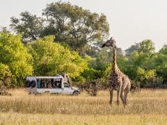 Wilderness Dawning operates privately guided fully-serviced mobile camping safaris through the national parks of Botswana.