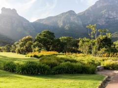 Kirstenbosch National Botanical Garden ,Cape Town, South Africa.