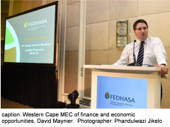 Western Cape MEC of Finance and Economic Opportunities, David Maynier. Photo: Phandulwazi Jikelo. 