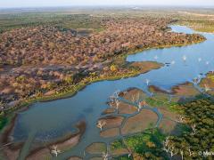 “This is one of the planet’s most biodiversity-rich areas and wise decisions are needed to ensure its protection for future generations.”