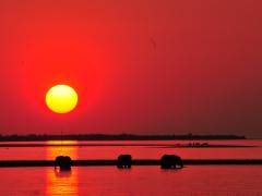Sunset on Lake Kariba: It’s not often in life – unless you happen to lead an extraordinarily adventurous one – that you get to share a sundowner with a family of elephants.