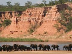 Gonarezhou National Park