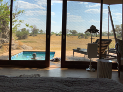 Single guests can beat the heat and safari rates in summer