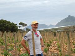 Gerhard van der Horst, managing director of Red Cliff Property who grew-up on Imhoff Farm in the recently planted vineyard overlooking Long Beach