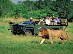 South Africa’s natural beauty and value for money still draw tourists.
