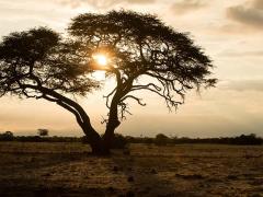 Sunset in the KAZA Transfrontier Conservation Area