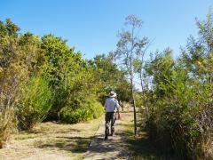 Helderberg Nature Reserve in Somerset West. Credit: Hillary Fox