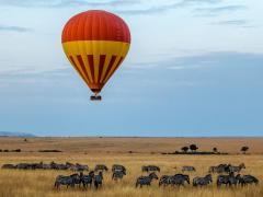 Hot-air balloon floating over the Maasai Mara
