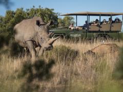 Shamwari Conservation