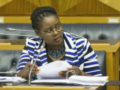 Minister of Tourism, Mmamoloko Kubayi-Ngubane.