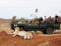 Kruger National Park