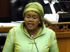 Minister of Tourism, Mmamoloko Kubayi-Ngubane