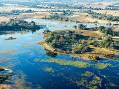The Okavango Delta, where tourist guide Dutch Bihelang Kasale grew up and now guides.