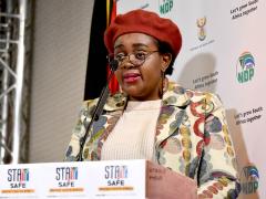 Minister of Tourism, Mmamoloko Kubayi-Ngubane.